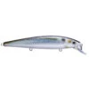 Strike King KVD 300 Jerkbait - 4.75" -Tackle Up Store Strike King KVD 300 Jerkbait 4 75 051034248524 image1 06578.1573148046